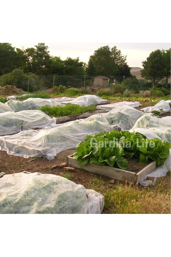 Agril Don Kırağı Örtüsü 3x3 Metre Bitki Koruma Örtüsü