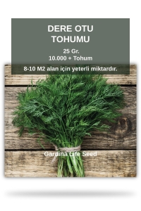 Dereotu Tohumu 25 gram 10.000 Tohum - Thumbnail