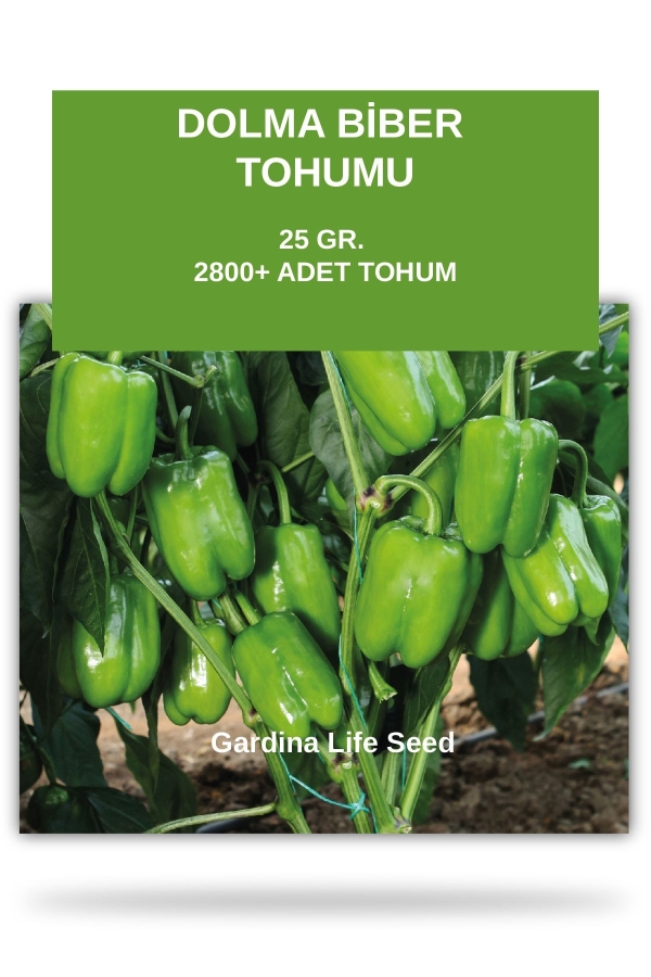 Gardinalife - Dolma Biber Tohumu 25 gram 2800 Tohum