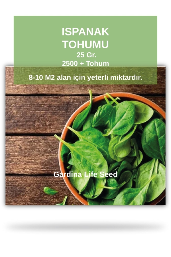 Gardinalife - Ispanak Tohumu 25 gram Geniş Yaprak ( 2200 Adet Tohum)