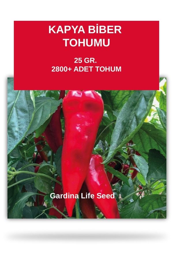 Gardinalife - Kapya Kırmızı Biber Tohumu 25 gram 2800 Tohum