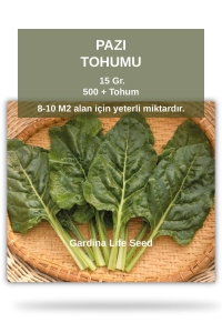 Pazı Tohumu 25 Gr. 500 Tohum - Thumbnail