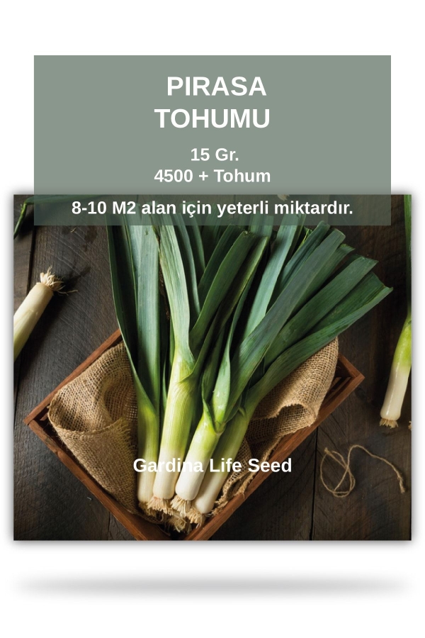 Pırasa Tohumu 15 Gr. 4500 Tohum