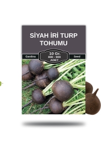 Siyah Turp Tohumu 10 Gr. 800 Tohum - Thumbnail