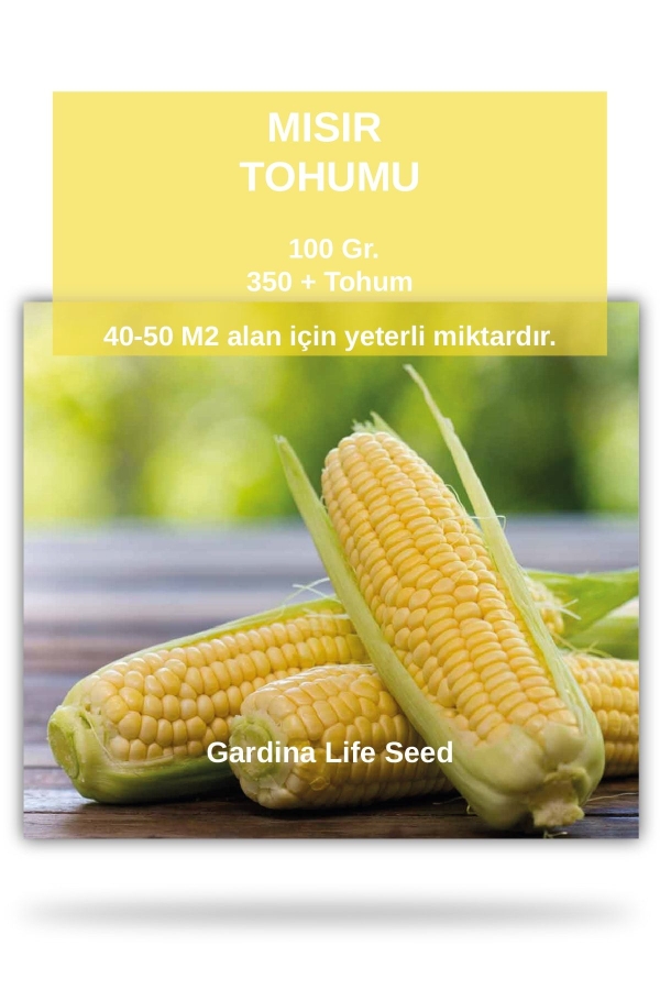 Tatlı Süt Mısır Tohumu 25 Gram