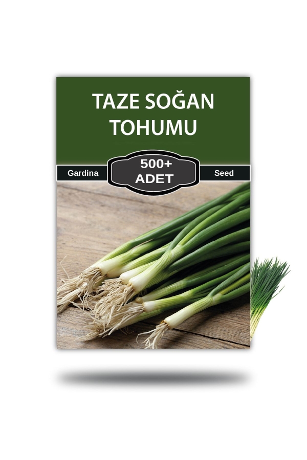 Gardinalife - Taze Soğan Tohumu 500 Adet