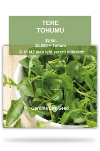 Tere Tohumu 25 Gr. 10.000 Tohum - Thumbnail